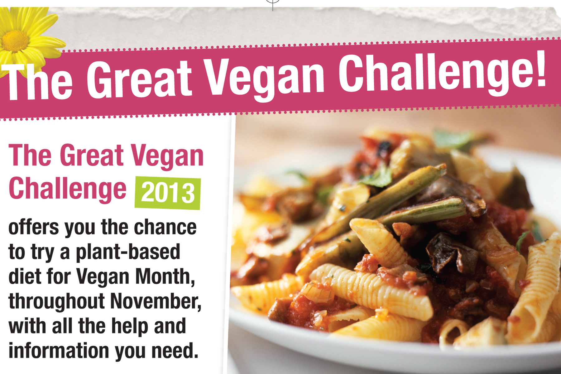 The Great Vegan Challenge Fat Gay Vegan 9071
