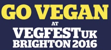 Big vegan party in Brighton