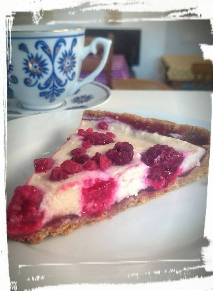 FGV Raspberry No Cheesecake Fat Gay Vegan