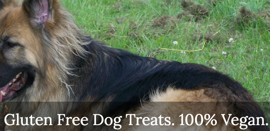 Vegan treats for dogs