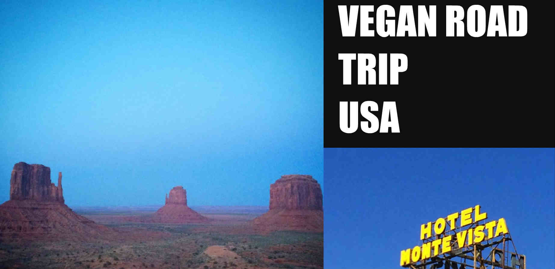 Vegan road trip USA