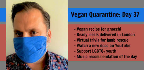 Vegan Quarantine: Day 37