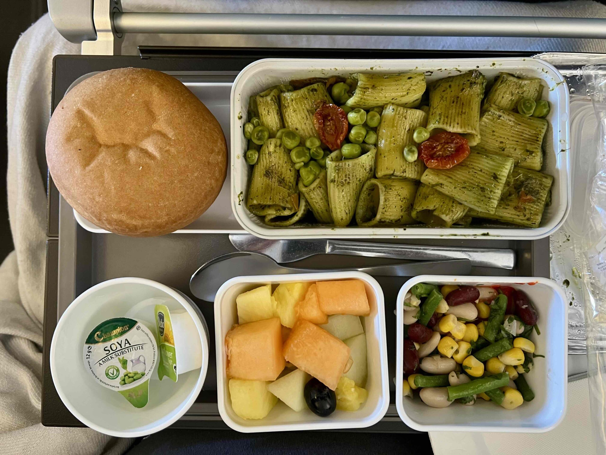 ごはん Vegan Food on Cathay Pacific Airlines – Fat Gay Vegan
